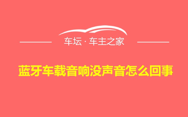 蓝牙车载音响没声音怎么回事 车探网