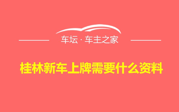 桂林新车上牌需要什么资料