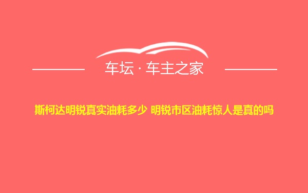 斯柯达明锐真实油耗多少 明锐市区油耗惊人是真的吗