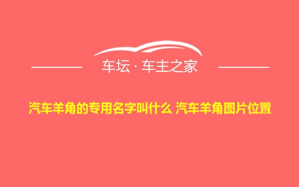 汽车羊角的专用名字叫什么 汽车羊角图片位置