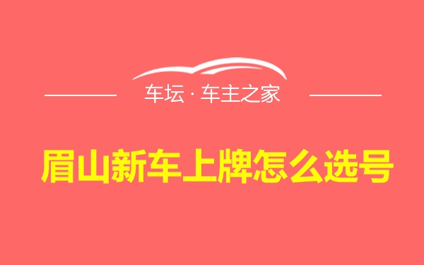 眉山新车上牌怎么选号