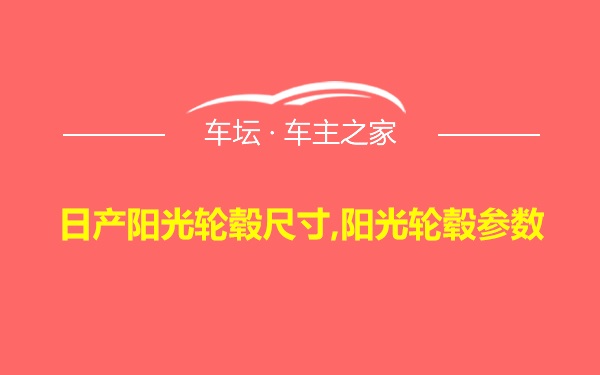 日产阳光轮毂尺寸,阳光轮毂参数