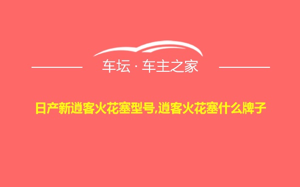 日产新逍客火花塞型号,逍客火花塞什么牌子