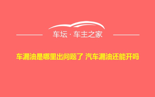 车漏油是哪里出问题了 汽车漏油还能开吗