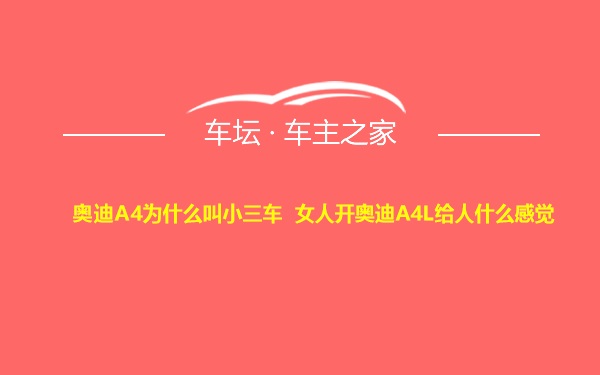 奥迪A4为什么叫小三车 女人开奥迪A4L给人什么感觉