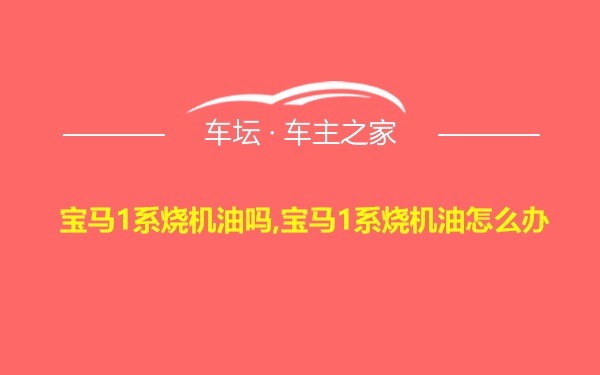 宝马1系烧机油吗,宝马1系烧机油怎么办