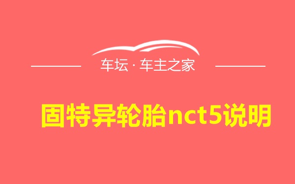 固特异轮胎nct5说明