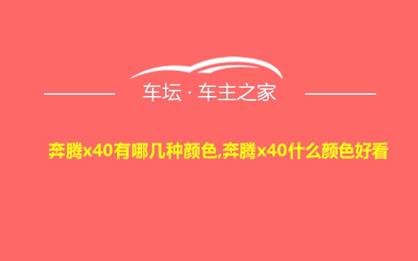 奔腾x40有哪几种颜色,奔腾x40什么颜色好看