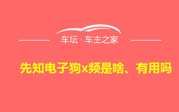 先知电子狗x频是啥、有用吗