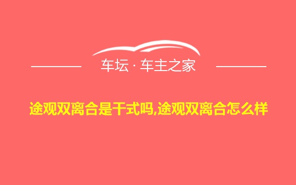 途观双离合是干式吗,途观双离合怎么样