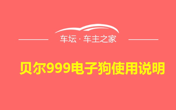 贝尔999电子狗使用说明