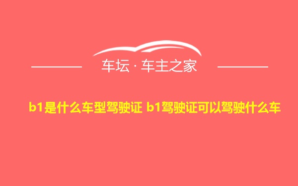 b1是什么车型驾驶证 b1驾驶证可以驾驶什么车