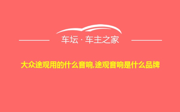 大众途观用的什么音响,途观音响是什么品牌