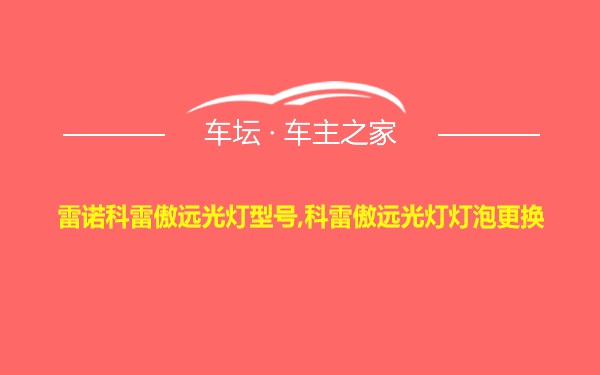 雷诺科雷傲远光灯型号,科雷傲远光灯灯泡更换