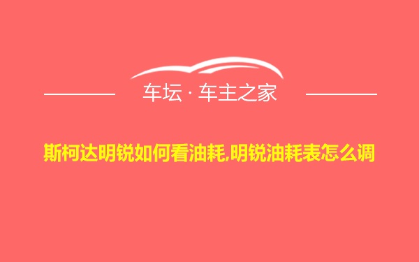 斯柯达明锐如何看油耗,明锐油耗表怎么调