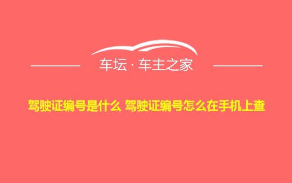 驾驶证编号是什么 驾驶证编号怎么在手机上查