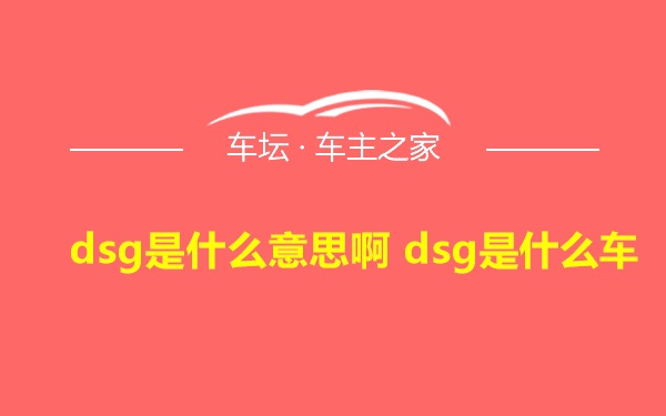 dsg是什么意思啊 dsg是什么车