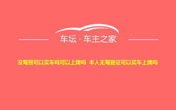 没驾照可以买车吗可以上牌吗  本人无驾驶证可以买车上牌吗