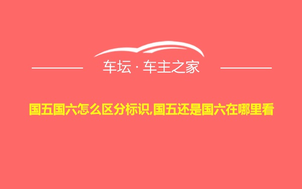 国五国六怎么区分标识,国五还是国六在哪里看