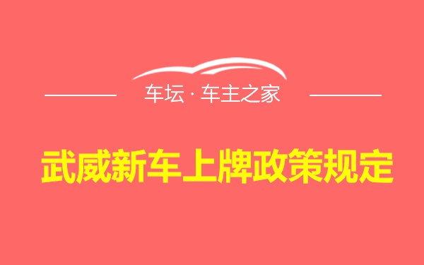 武威新车上牌政策规定