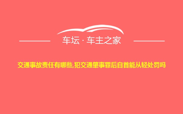 交通事故责任有哪些,犯交通肇事罪后自首能从轻处罚吗