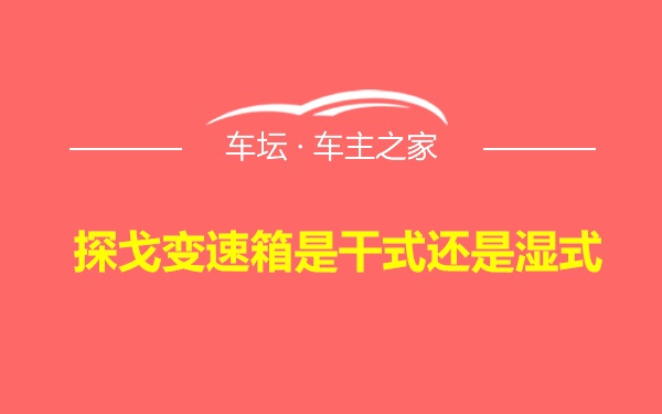 探戈变速箱是干式还是湿式