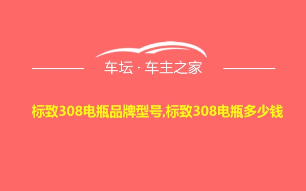 标致308电瓶品牌型号,标致308电瓶多少钱