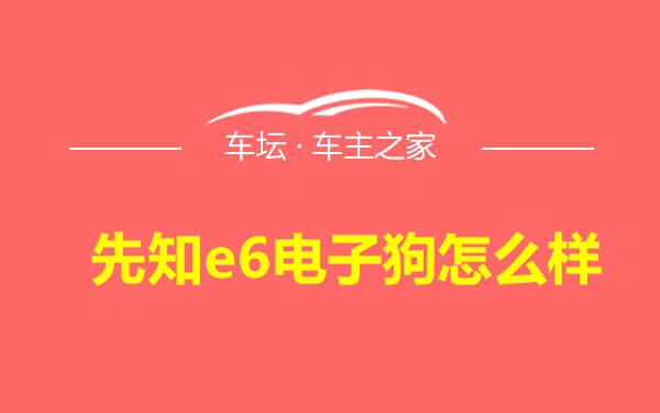 先知e6电子狗怎么样