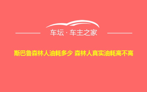 斯巴鲁森林人油耗多少 森林人真实油耗高不高