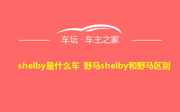 shelby是什么车 野马shelby和野马区别