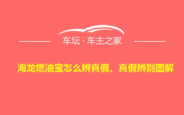 海龙燃油宝怎么辨真假、真假辨别图解