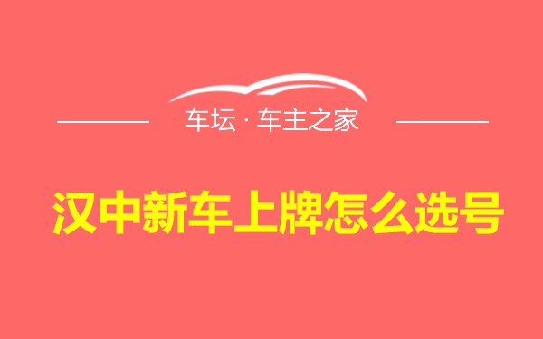 汉中新车上牌怎么选号