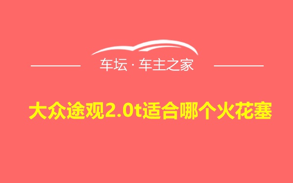 大众途观2.0t适合哪个火花塞