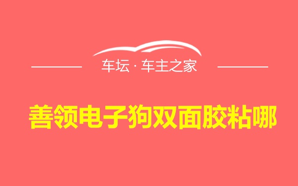 善领电子狗双面胶粘哪