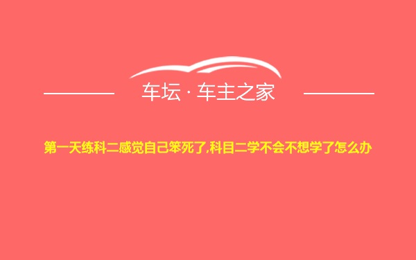 第一天练科二感觉自己笨死了,科目二学不会不想学了怎么办