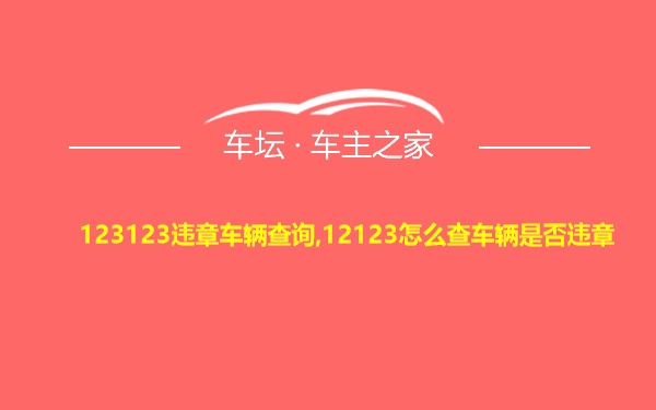 123123违章车辆查询,12123怎么查车辆是否违章