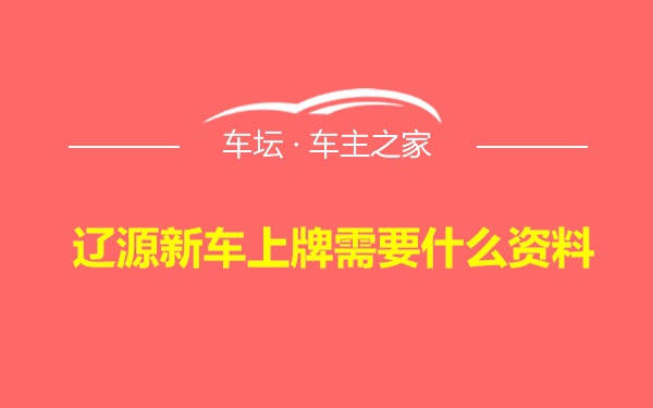 辽源新车上牌需要什么资料