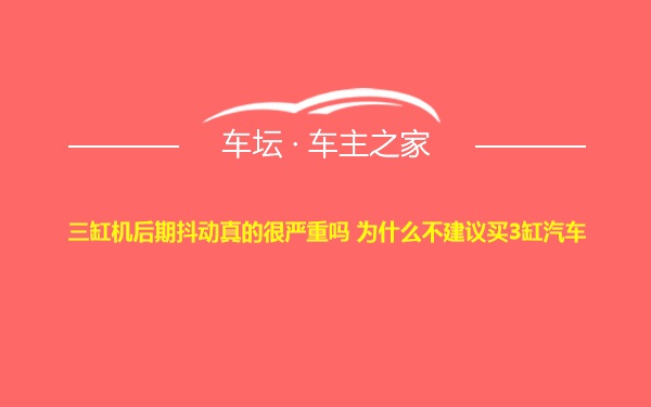 三缸机后期抖动真的很严重吗 为什么不建议买3缸汽车