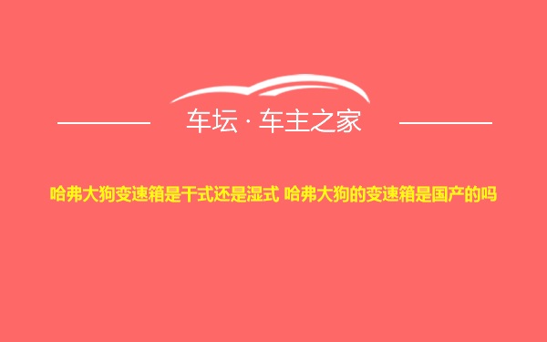 哈弗大狗变速箱是干式还是湿式 哈弗大狗的变速箱是国产的吗