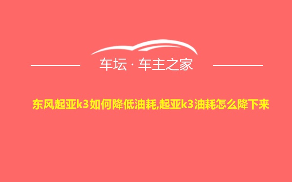 东风起亚k3如何降低油耗,起亚k3油耗怎么降下来