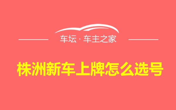 株洲新车上牌怎么选号