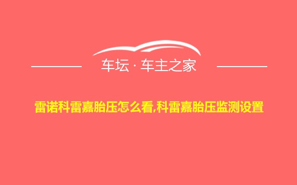 雷诺科雷嘉胎压怎么看,科雷嘉胎压监测设置