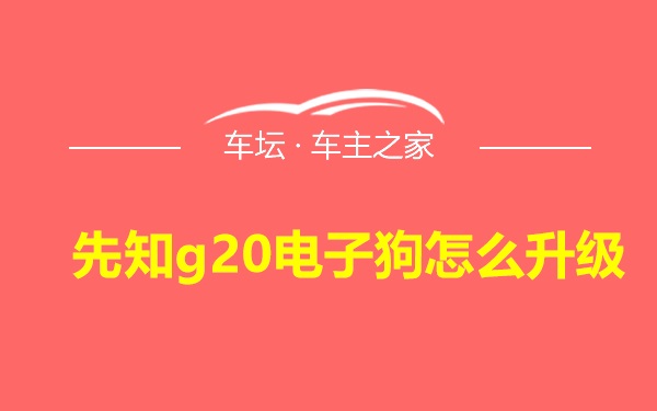 先知g20电子狗怎么升级