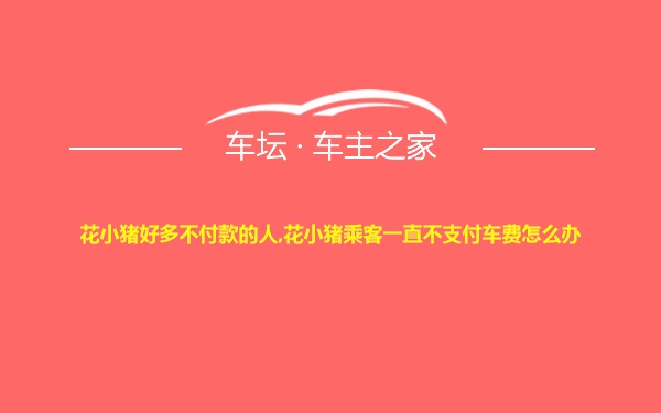 花小猪好多不付款的人,花小猪乘客一直不支付车费怎么办