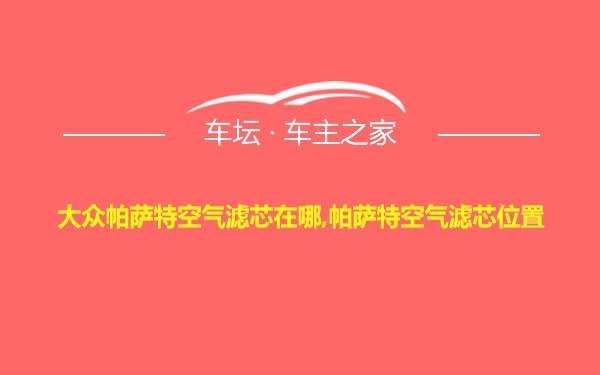 大众帕萨特空气滤芯在哪,帕萨特空气滤芯位置