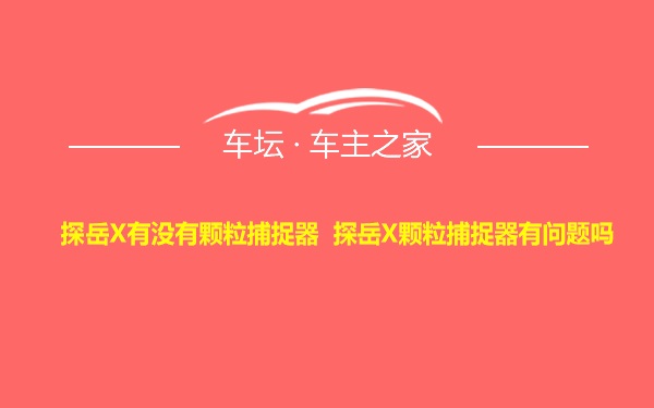 探岳X有没有颗粒捕捉器 探岳X颗粒捕捉器有问题吗