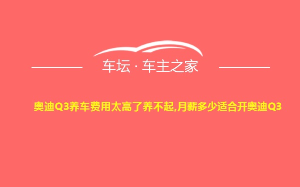 奥迪Q3养车费用太高了养不起,月薪多少适合开奥迪Q3