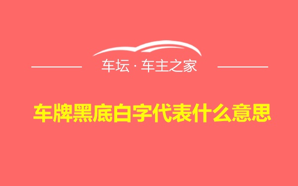 车牌黑底白字代表什么意思