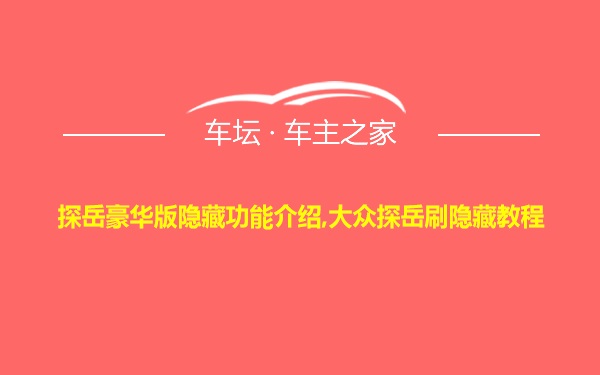 探岳豪华版隐藏功能介绍,大众探岳刷隐藏教程