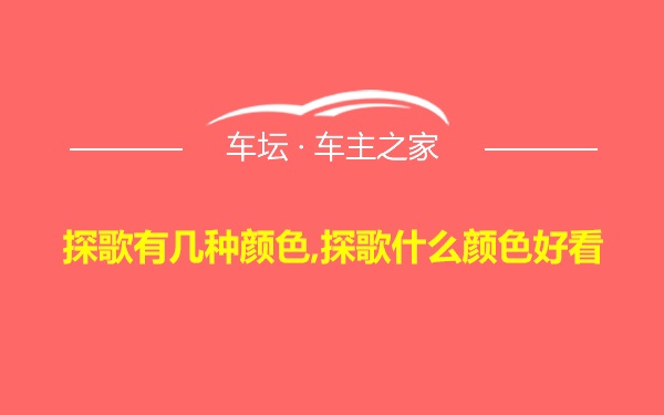 探歌有几种颜色,探歌什么颜色好看